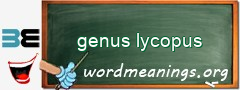 WordMeaning blackboard for genus lycopus